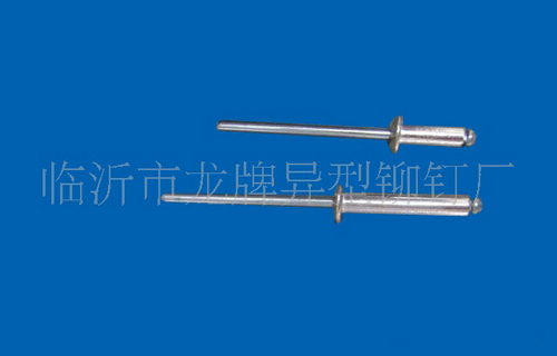 21鉚釘ww