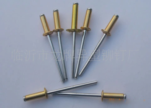 41鉚釘ws